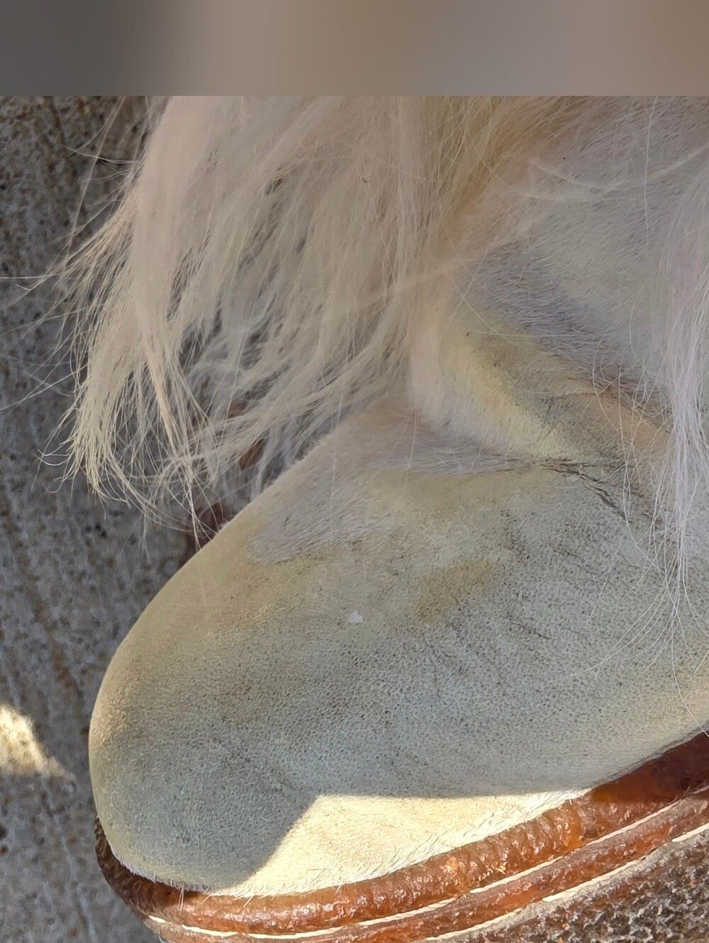 BearPaw Boetis ll Real White Lamb Fur Wool Lined Boots Womens Size 7 - Picture 14 of 15